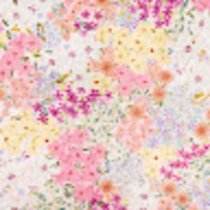 Meet your Posher, Cata